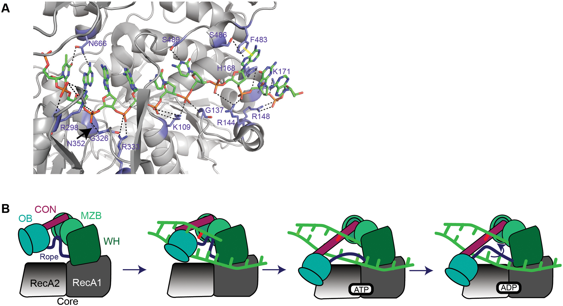 Figure 6.