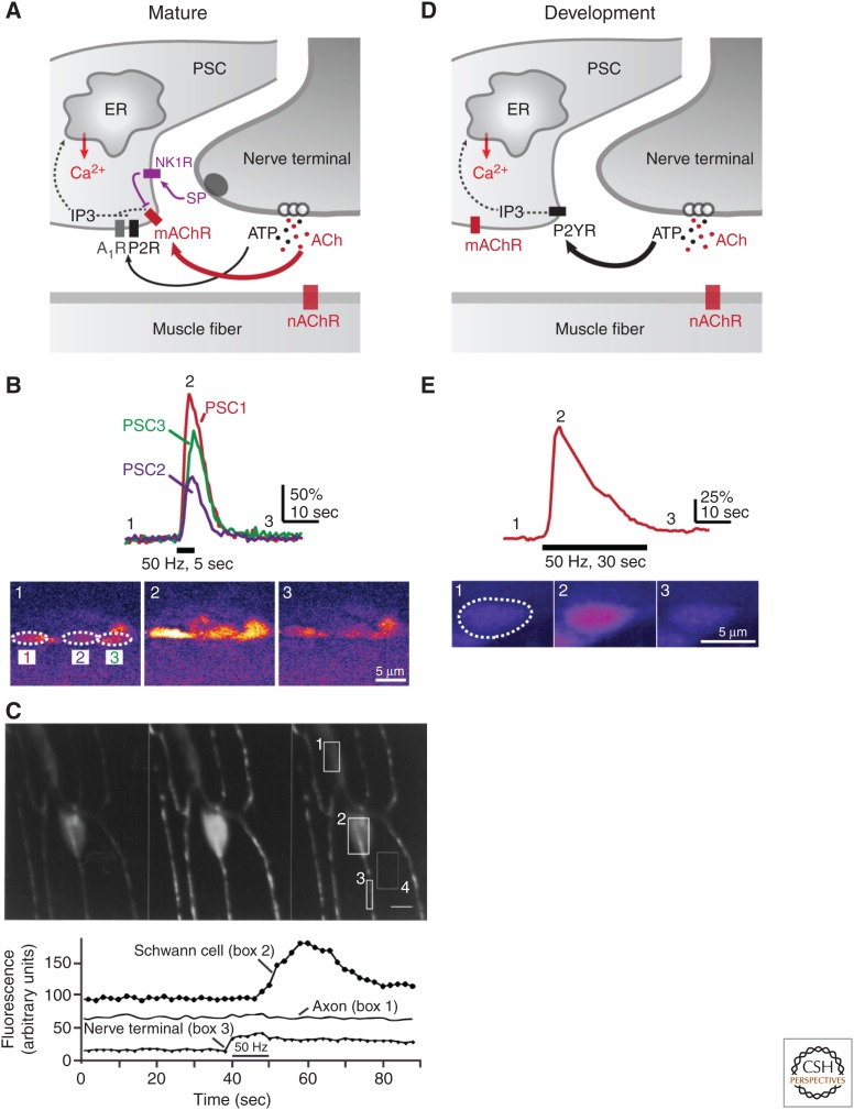 Figure 3.