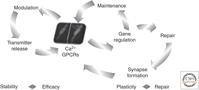 Figure 6.