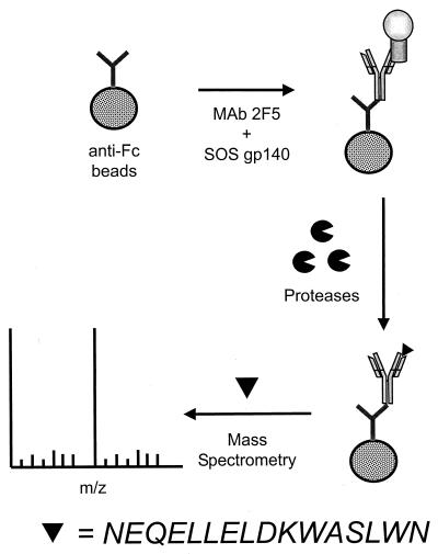 FIG. 1