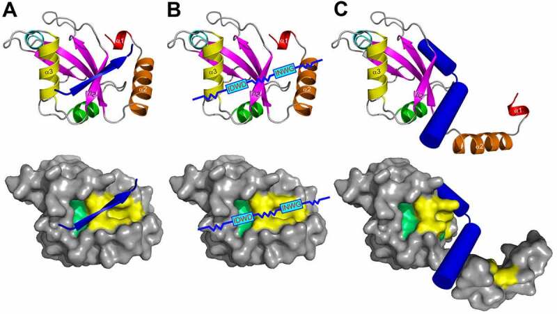 Figure 5.