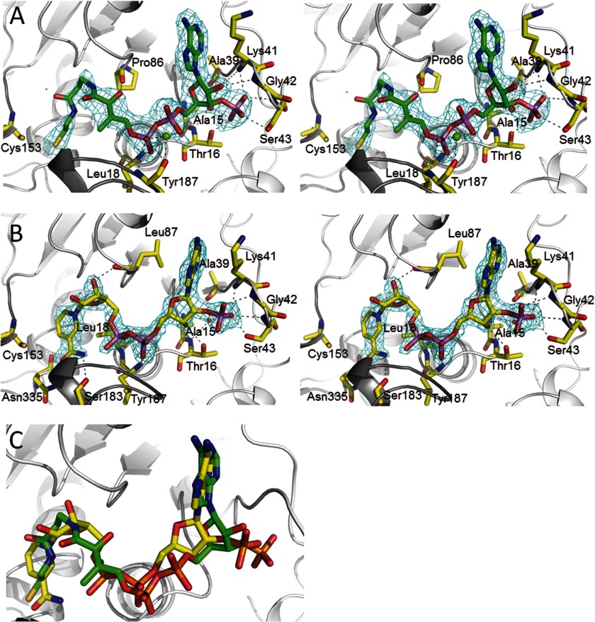 FIGURE 3.