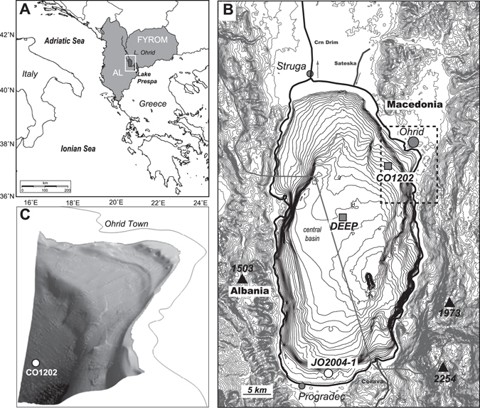 Figure 1