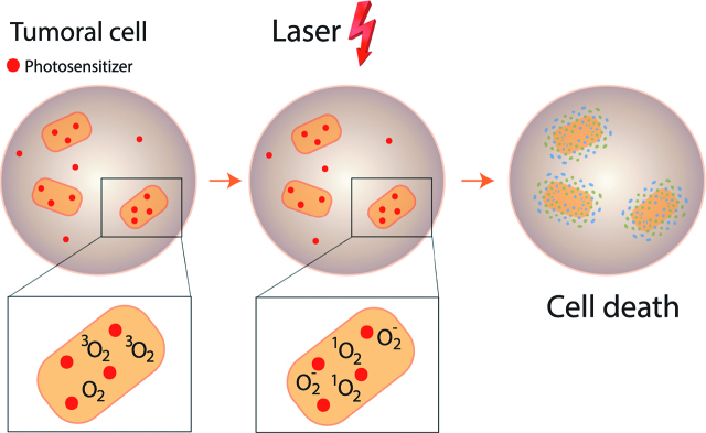 Figure 1: