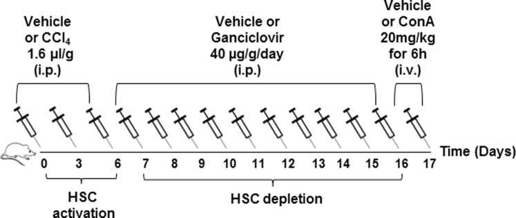 Supplemental Figure S1