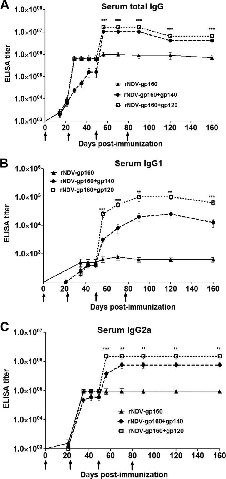 FIG 2