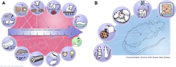 Fig. 3