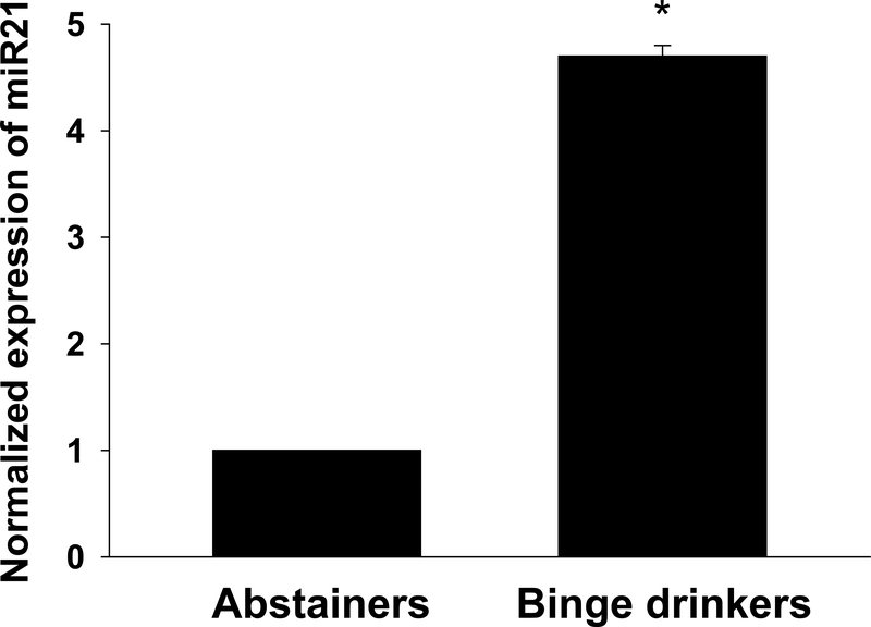 Figure 5.