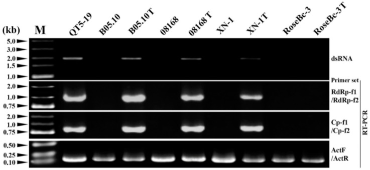 Figure 9