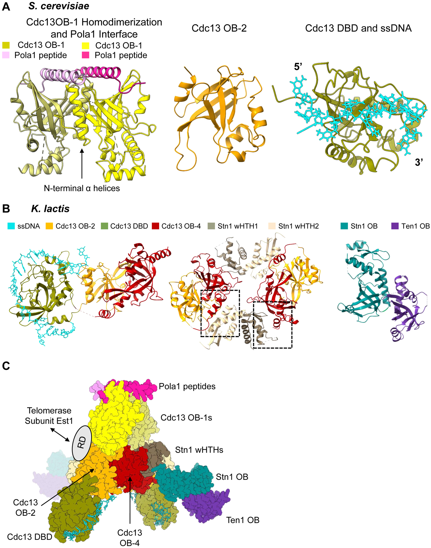 Figure 3.