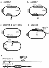 FIG. 2.
