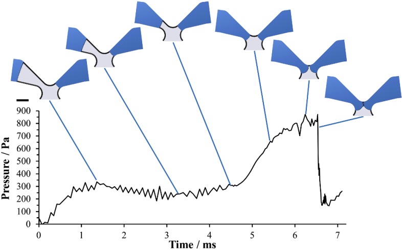 FIG. 6.