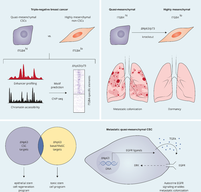 graphic file with name nihms-1859333-f0001.jpg