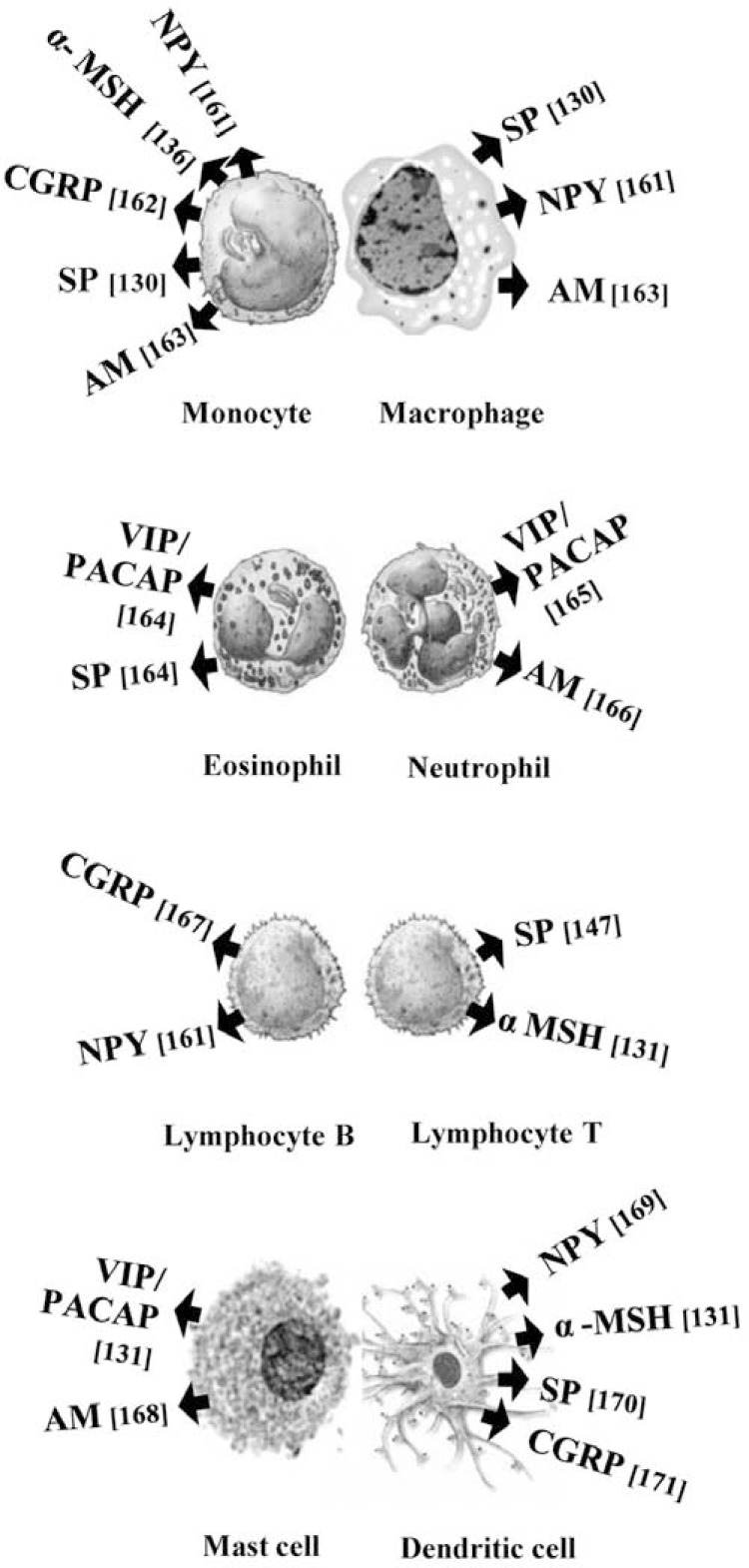 Fig. (1)