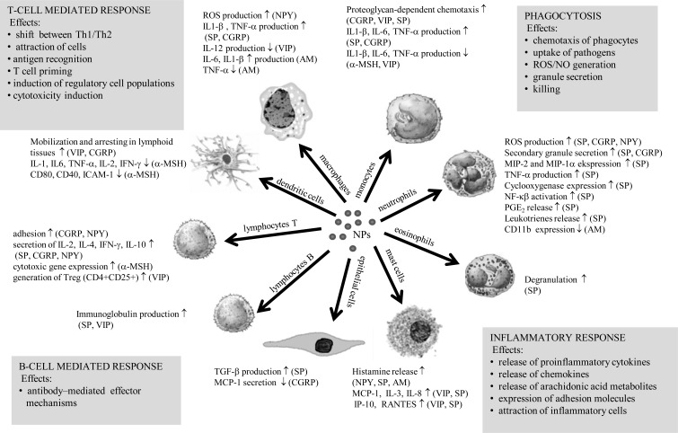 Fig. (2)