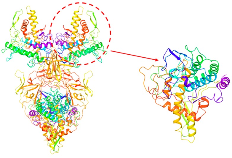 Figure 5