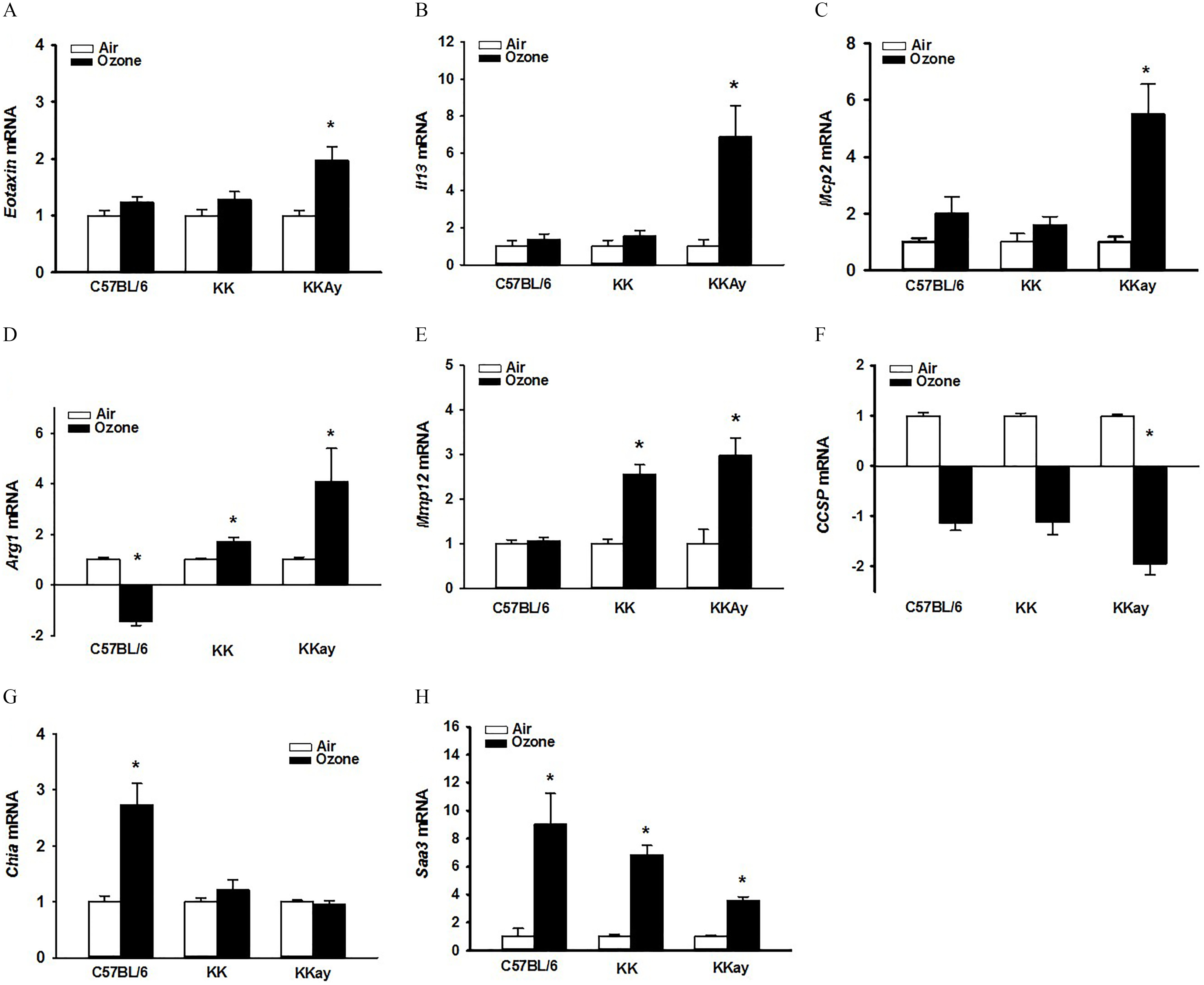 Figures 6A to 6H are clustered bar graphs, plotting eotaxin messenger ribonucleic acid, ranging from 0 to 4 in unit increments, Interleukin 13 messenger ribonucleic acid, ranging from 0 to 12 in increments of 2, monocyte chemoattractant protein 2 messenger ribonucleic acid, ranging from 0 to 8 in increments of 2, arginase 1 messenger ribonucleic acid, ranging from negative 2 to 6 in increments of 2, matrix metallopeptidase 12 messenger ribonucleic acid, ranging from 0 to 5 in unit increments, Club cell secretory protein messenger ribonucleic acid, ranging from negative 2 to 2 in increments of 2, Chia messenger ribonucleic acid, ranging from 0 to 4 in unit increments, and Saa3 serum amyloid A 3 messenger ribonucleic acid, ranging from 0 to 16 in increments of 2 (y-axis), respectively, across uppercase C 57 black 6, uppercase K K, and uppercase K K A y (x-axis) for air and ozone.