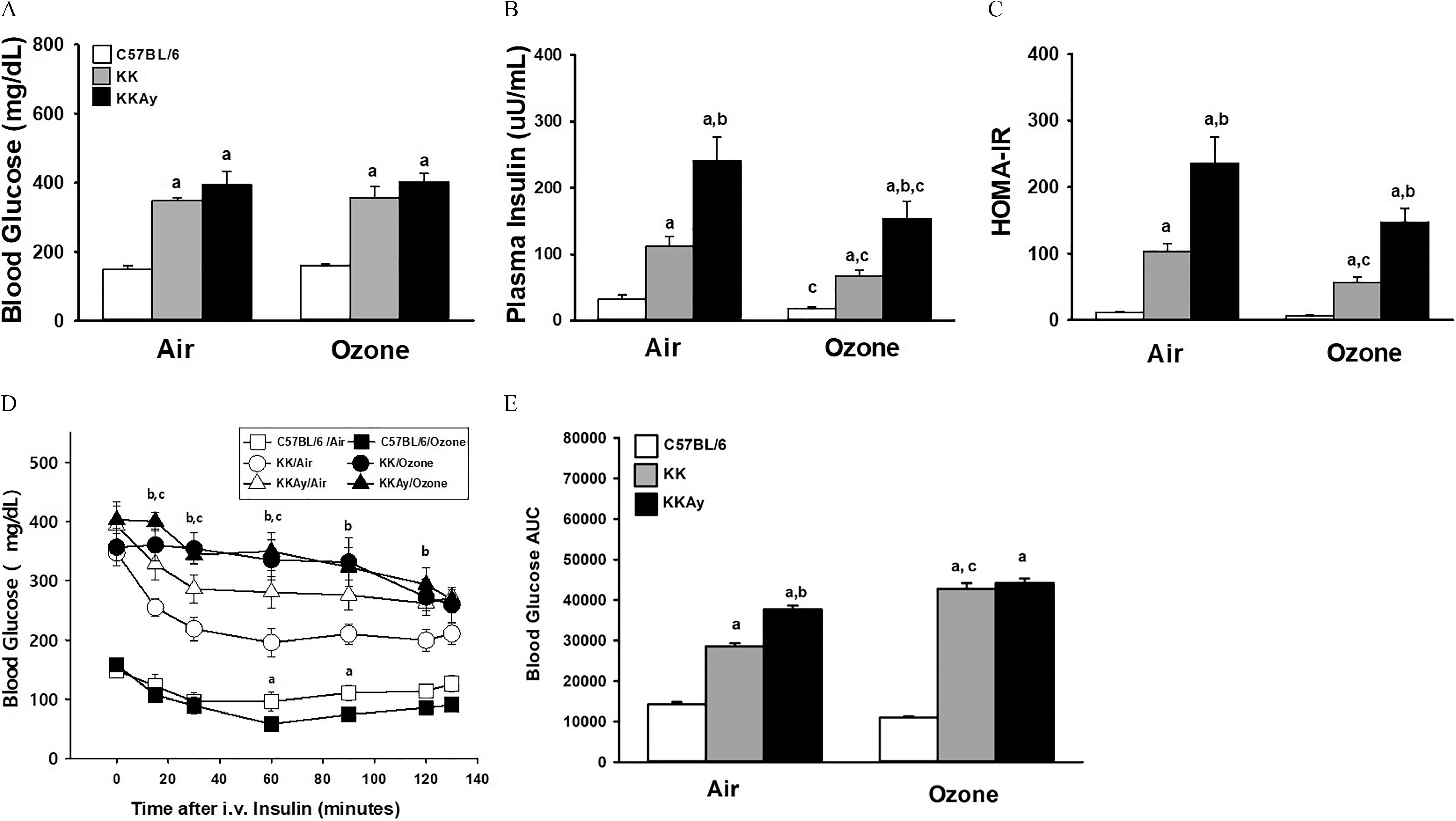 Figures 1A, 1B, 1C, and 1E are clustered bar graphs, plotting blood glucose (milligram per deciliter), ranging from 0 to 800 in increments of 200, plasma insulin (micro units per milliliter), ranging from 0 to 400 in increments of 100, homeostatic model assessment of insulin resistance, ranging from 0 to 400 in increments of 100, and blood glucose area under the curve, ranging from 0 to 80000 in increments of 10,000 (y-axis), respectively, across air and ozone (x-axis) for uppercase C 57 black 6, uppercase K K, and uppercase K K A y. Figure 1D is a line graph, plotting blood glucose (milligram per deciliter), ranging from 0 to 500 in increments of 100 (y-axis) across time after Intravenous insulin (minutes), ranging from 0 to 140 in increments of 20 (x-axis) for uppercase C 57 black 6 after air, uppercase K K after air, uppercase K K A y after air, uppercase C 57 black 6 after ozone, uppercase K K after ozone, and uppercase K K Ay after ozone.