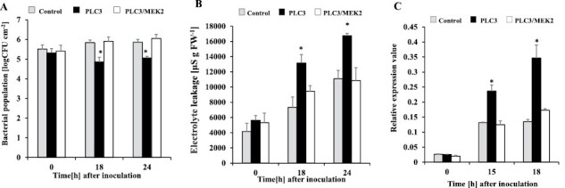 Fig. 9.