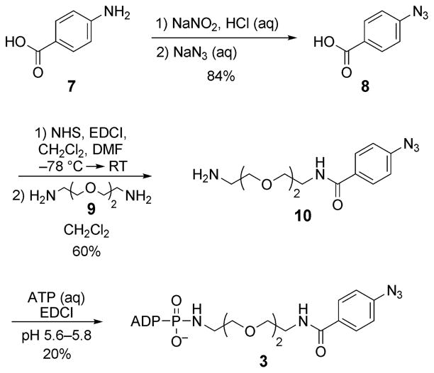 Scheme 2