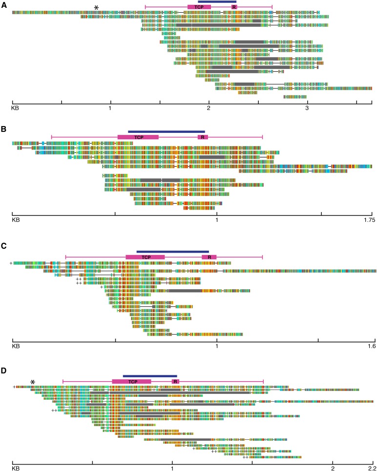 Fig. 3.