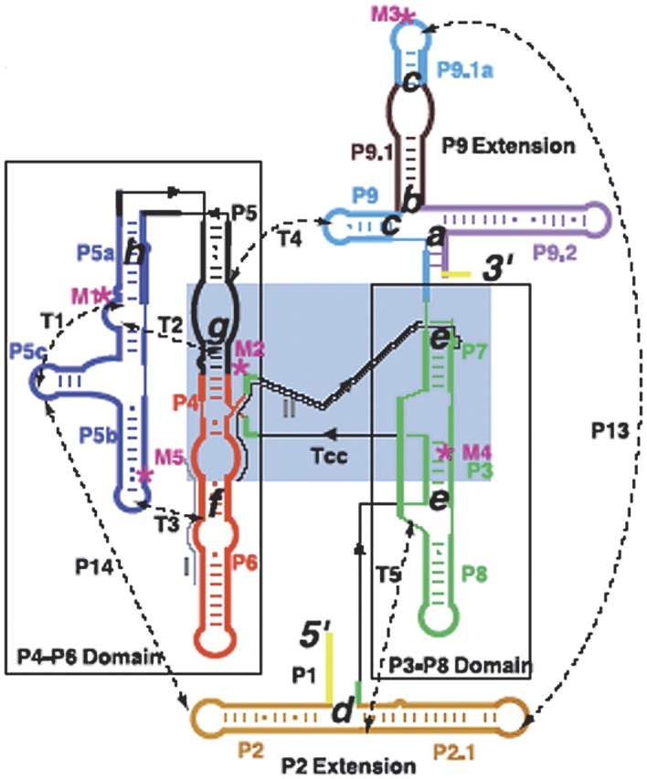 Figure 3.