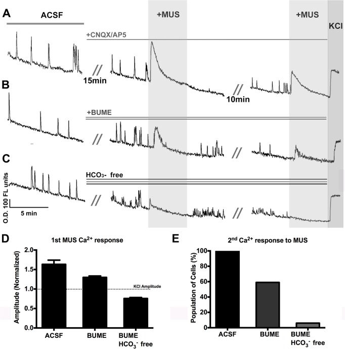 Fig 5