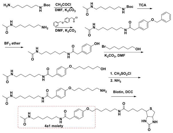 Scheme 2