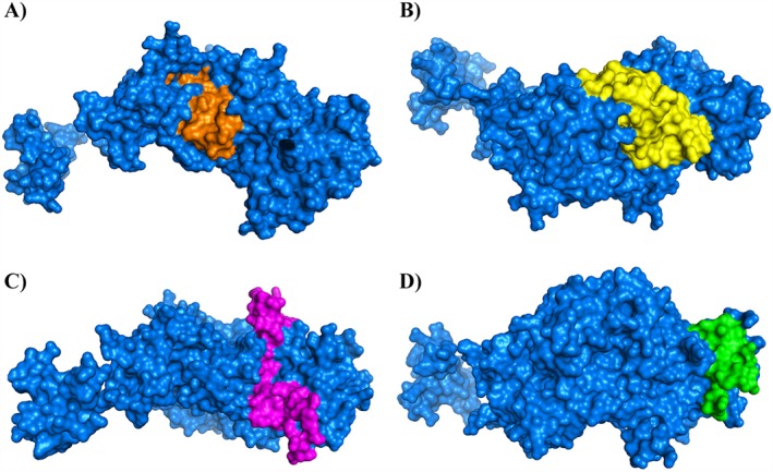 Figure 5