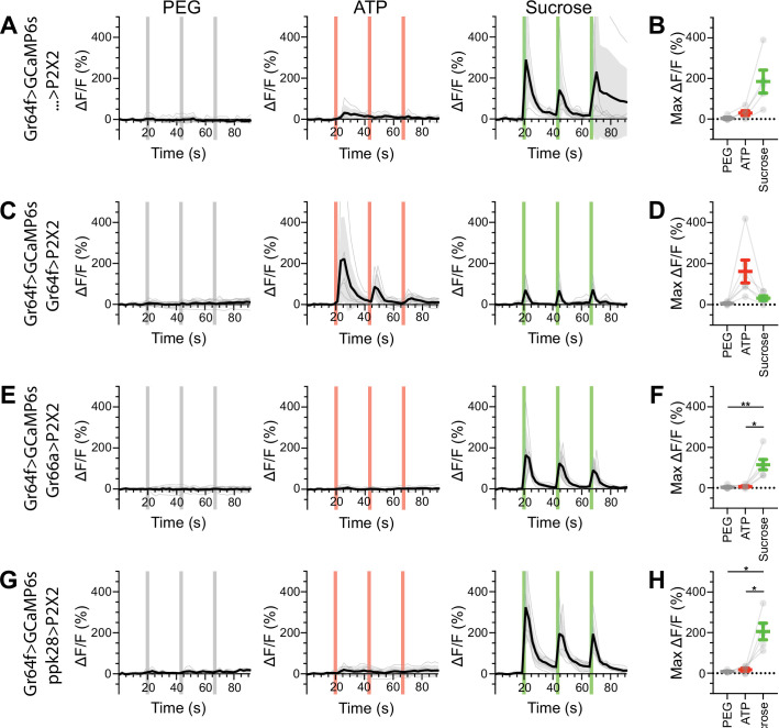 Figure 5—figure supplement 5.