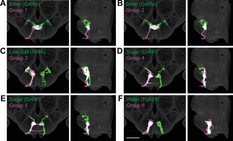 Figure 3.