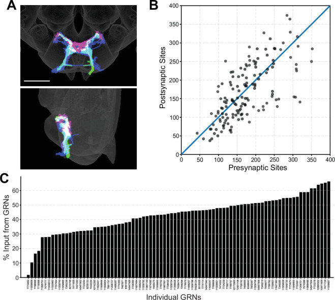 Figure 1—figure supplement 1.