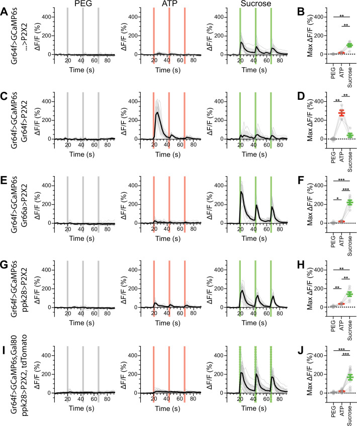 Figure 5—figure supplement 2.