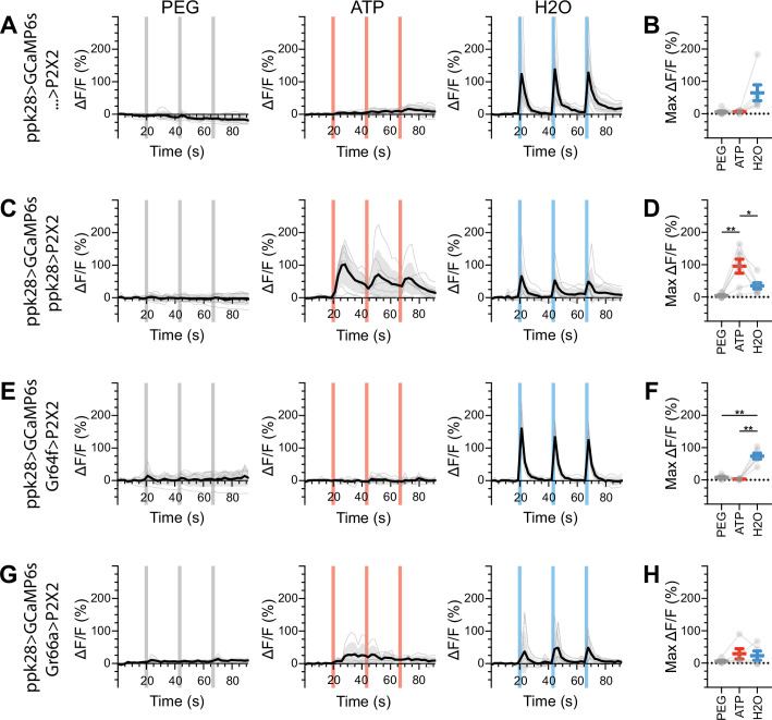 Figure 5—figure supplement 6.