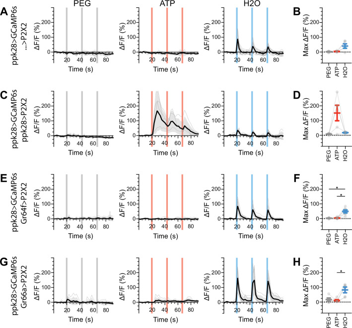 Figure 5—figure supplement 3.