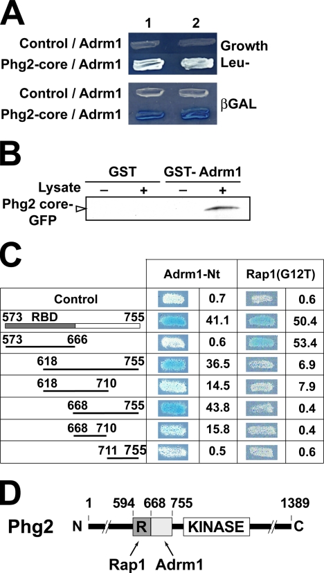 Figure 6.