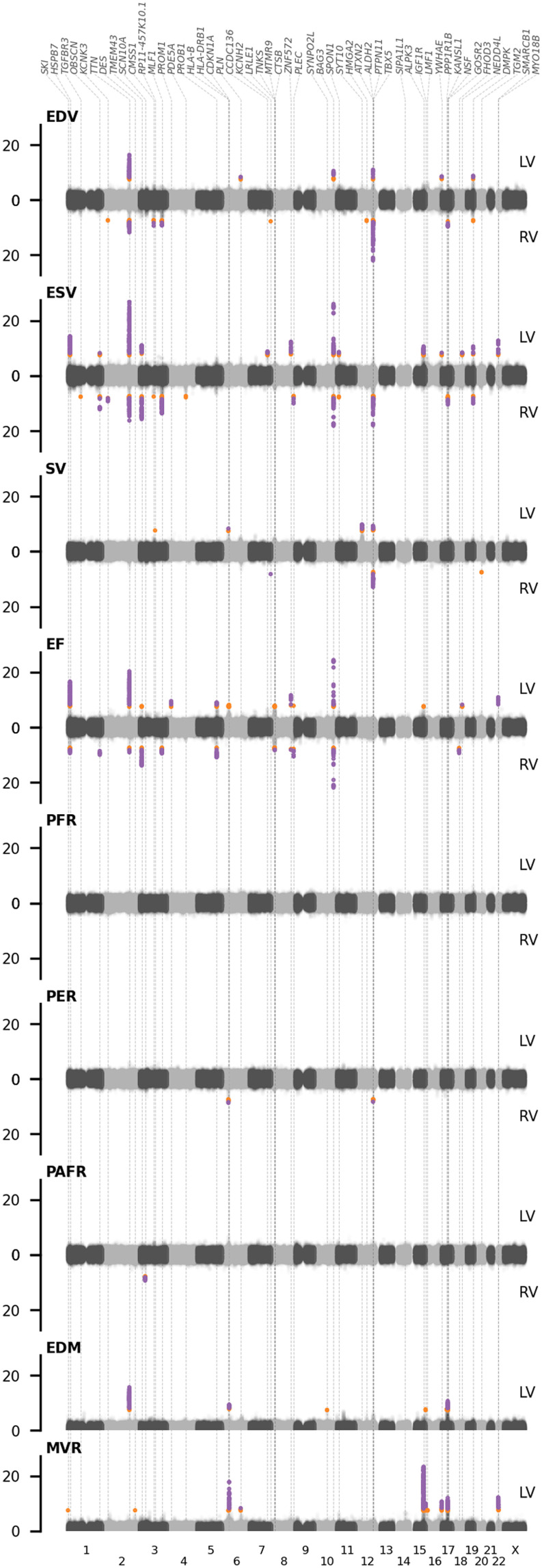 Fig. 2.