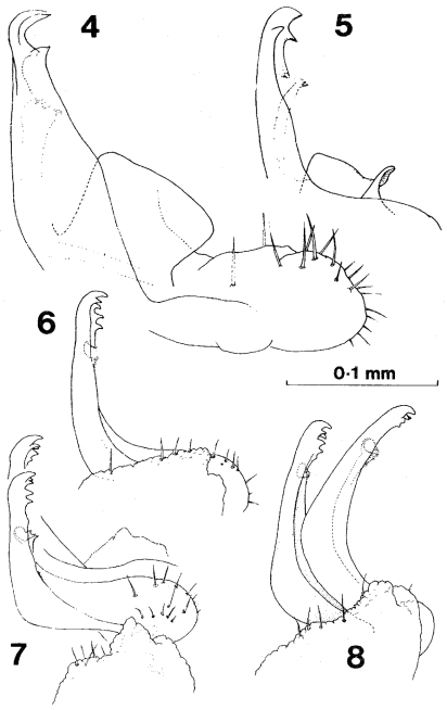 Figures 4–8.