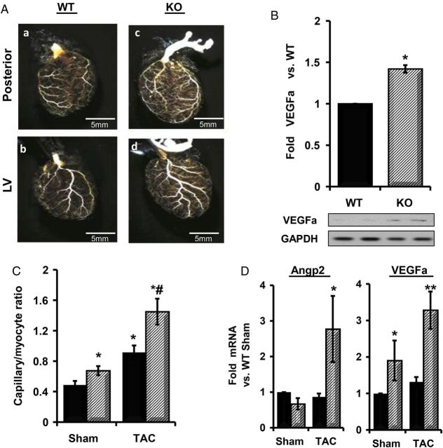 Figure 6