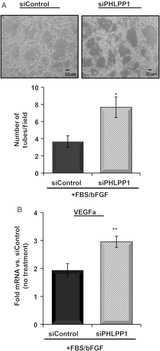 Figure 7