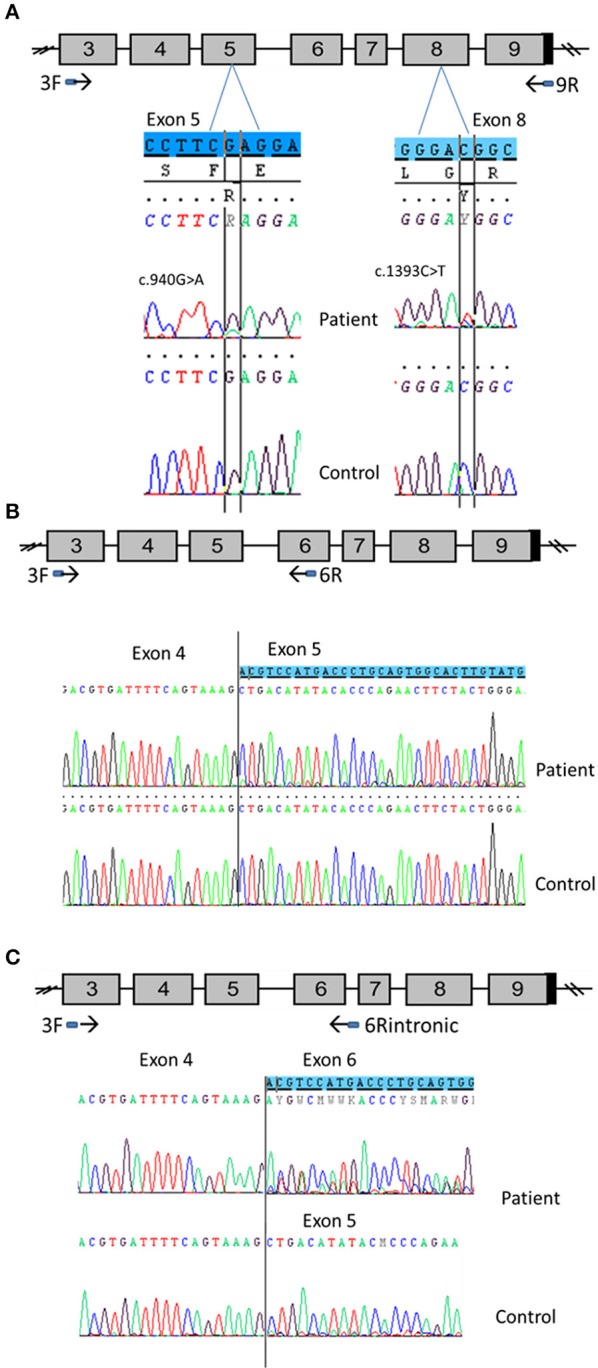 Figure 5