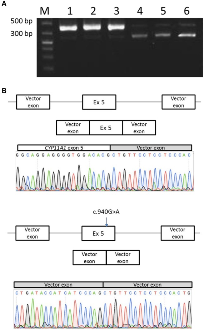 Figure 6