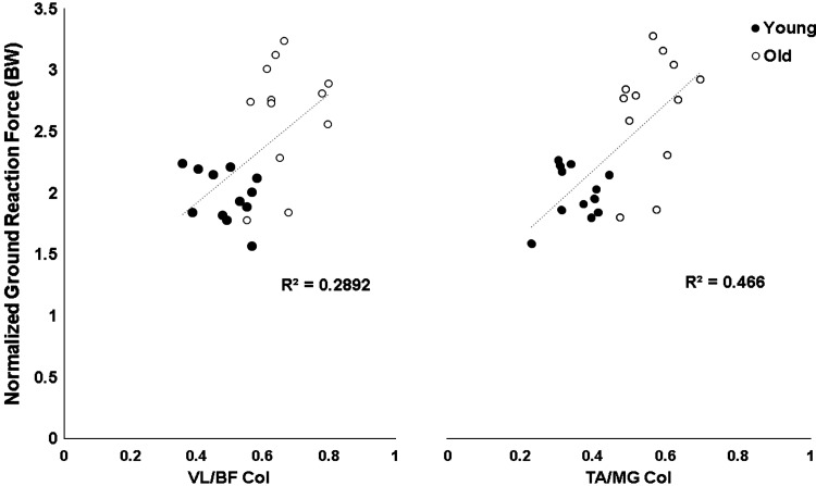 Fig. 8.