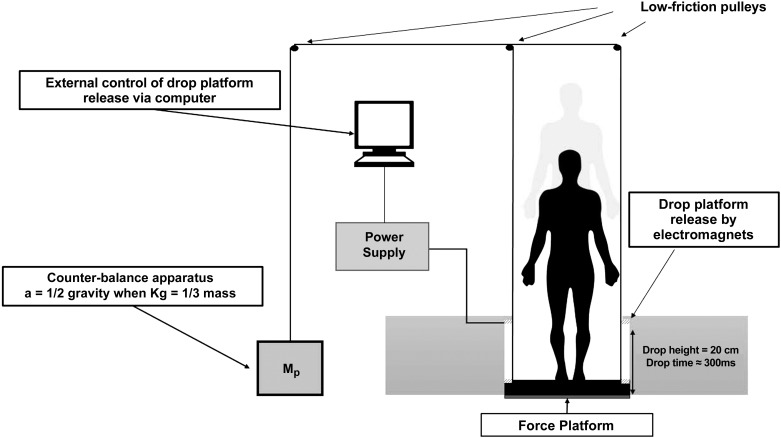 Fig. 1.