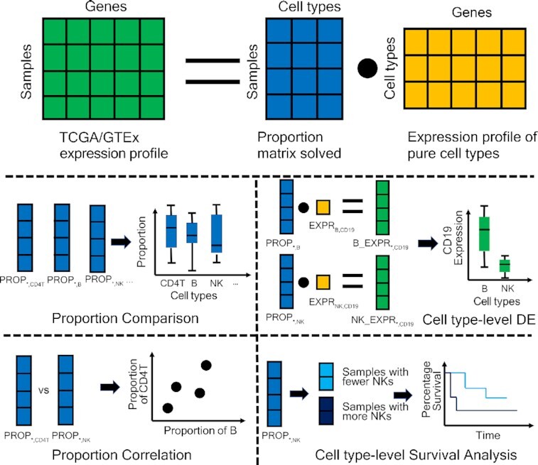 Graphical Abstract