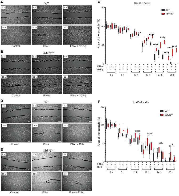 Figure 12