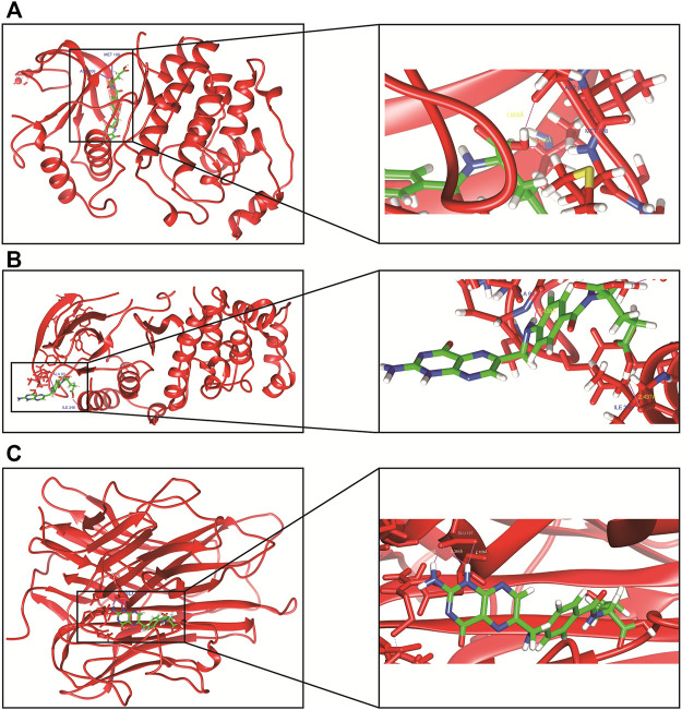 FIGURE 6