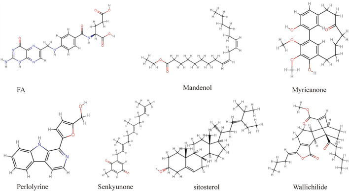 FIGURE 2