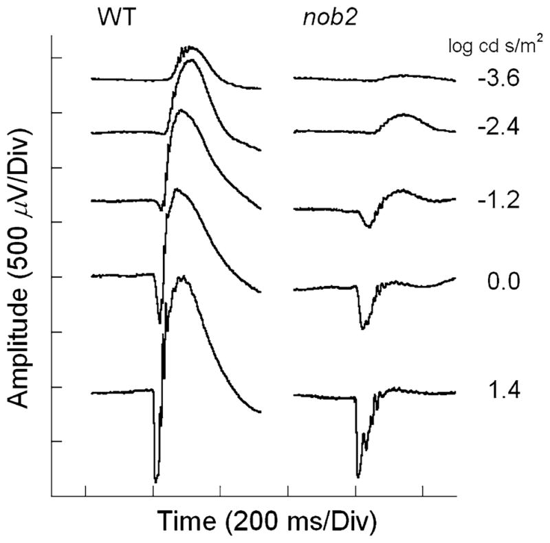 Fig. 2