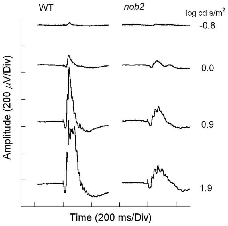 Fig. 7